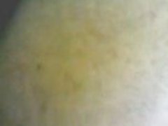 Pornografia wikipedia penis hunajaa